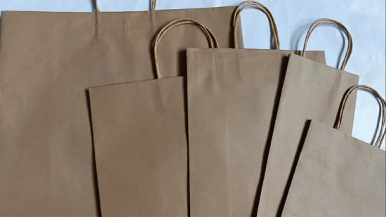 ハニカム紙袋 100% リサイクル可能な紙環境に優しい物流エクスプレスライナー保護パッド包装袋